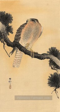 Faucon sur une branche Ohara KOSON Shin Hanga Peinture à l'huile